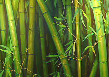 BambooForest-detail-3